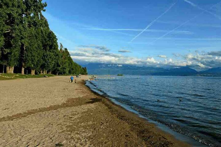 Poetic home, 3-min beach, lush garden gallery image 3