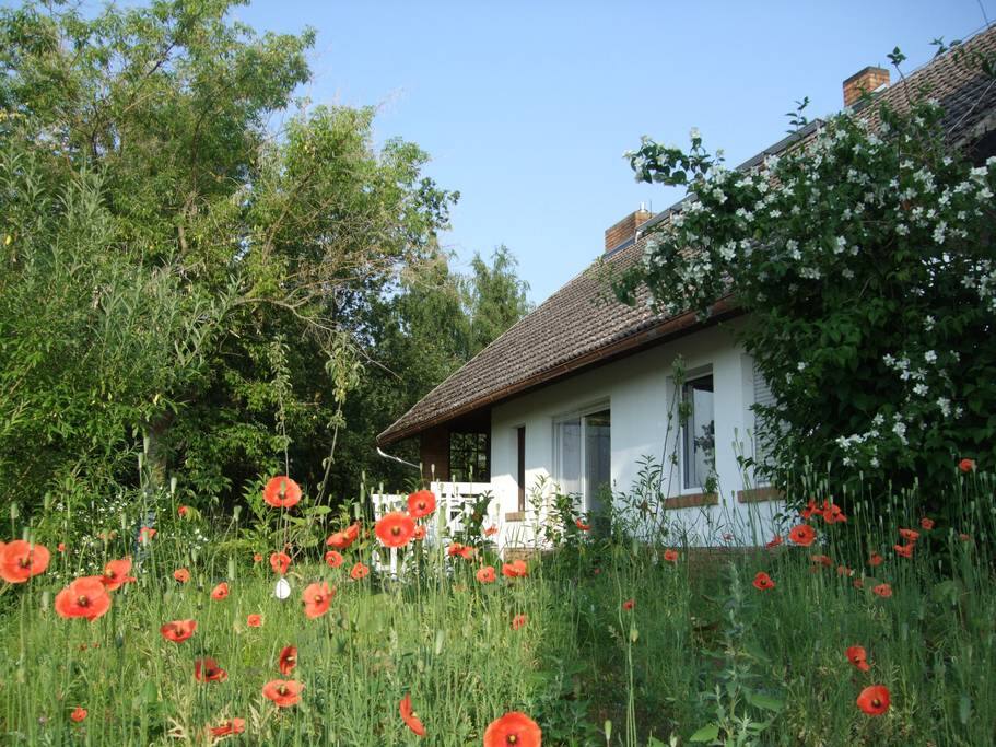 Titelfoto
