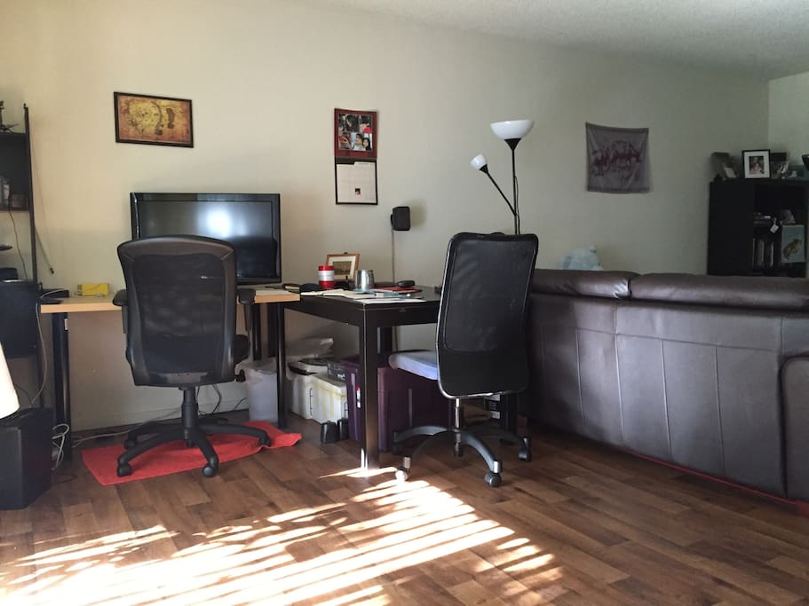 Large living room with plenty of sitting space, a lot of tech gadgets, and enough space to sleep 4.