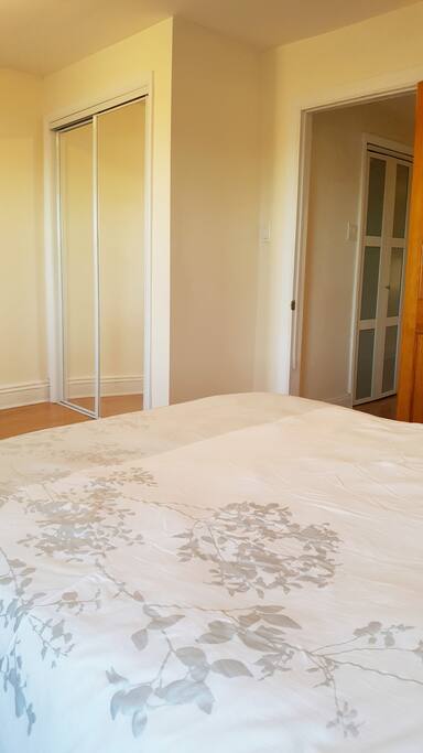 Ample closet space, with body length mirror.