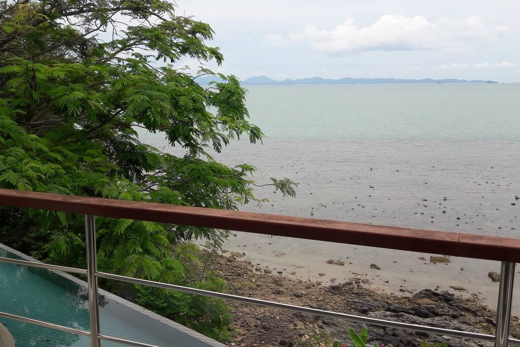 View