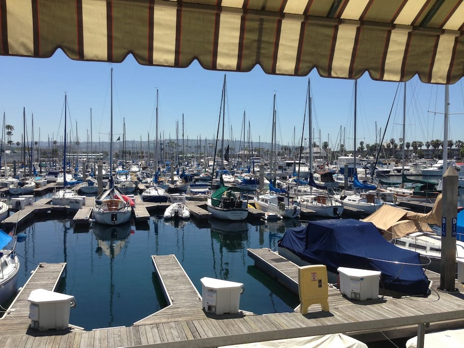 Photo of Bluewater Grill Seafood Restaurant