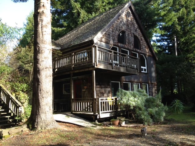 Retreat in the Redwoods / near Ave of the Giants