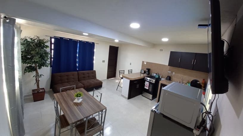 A modern living area features a comfortable brown sofa and a dining table surrounded by metal chairs. A kitchenette is equipped with essential appliances, while a decorative plant adds a touch of greenery. Bright overhead lights illuminate the open space.
