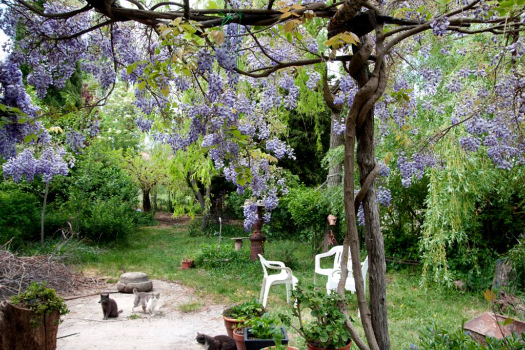 Il giardino davanti la casa