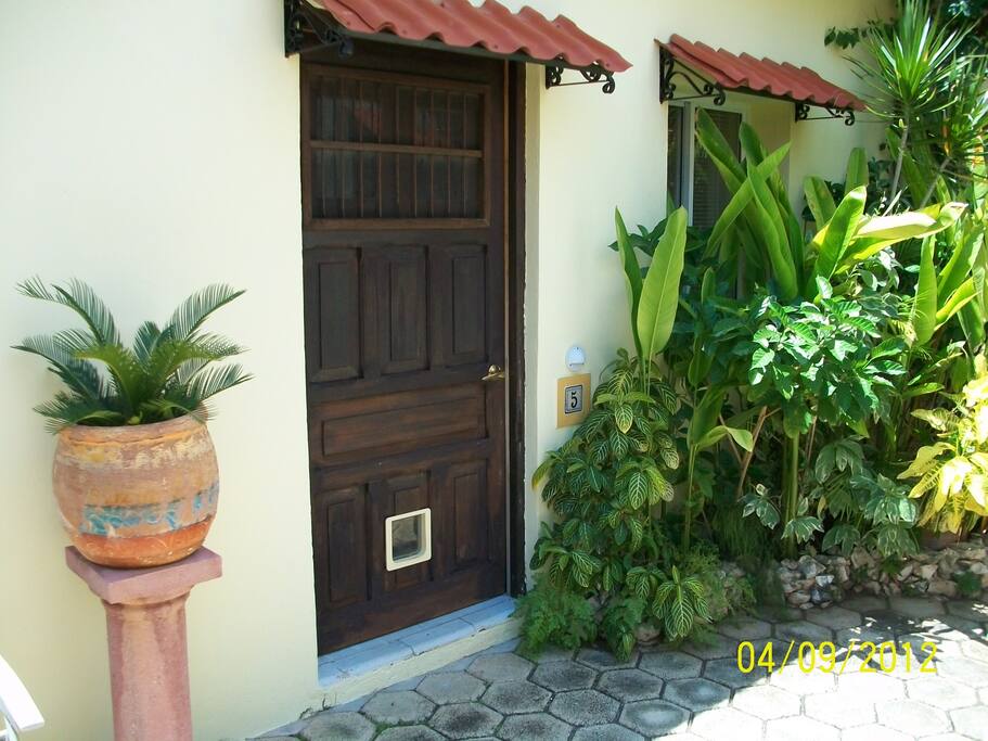Room #5
