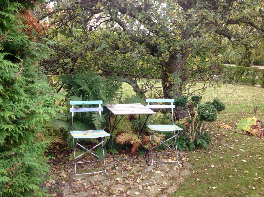 Take a break in the garden.