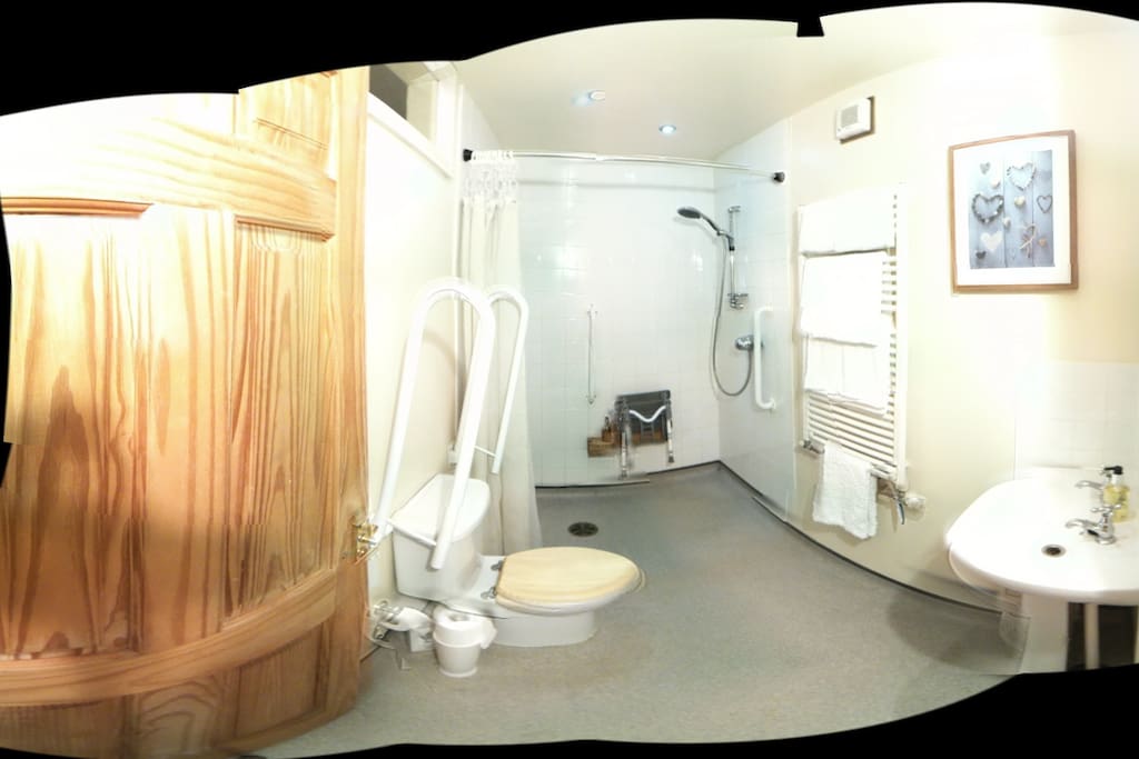 wheelchair accessible wet room, panoramic view