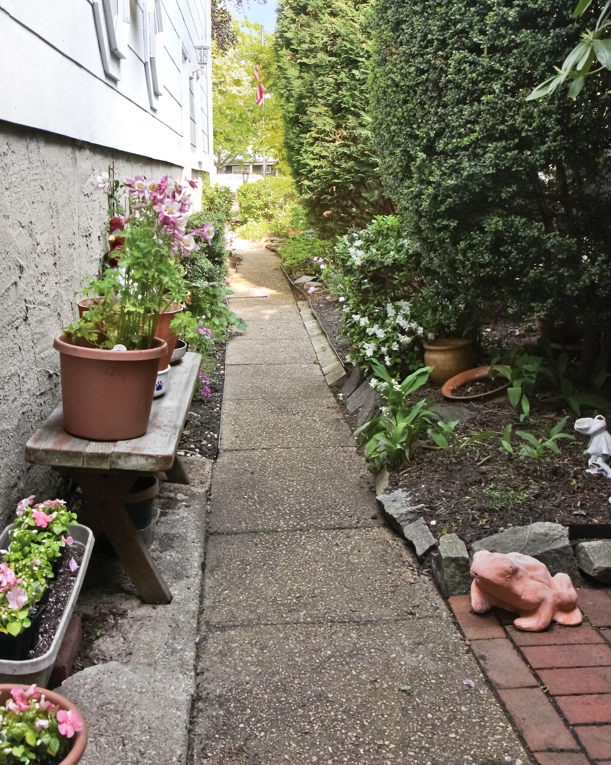 A stone pathway lined with vibrant potted flowers leads through a garden filled with green shrubs and leafy plants. The walkway is bordered by a wooden bench and a variety of flower pots, providing a serene and inviting atmosphere.