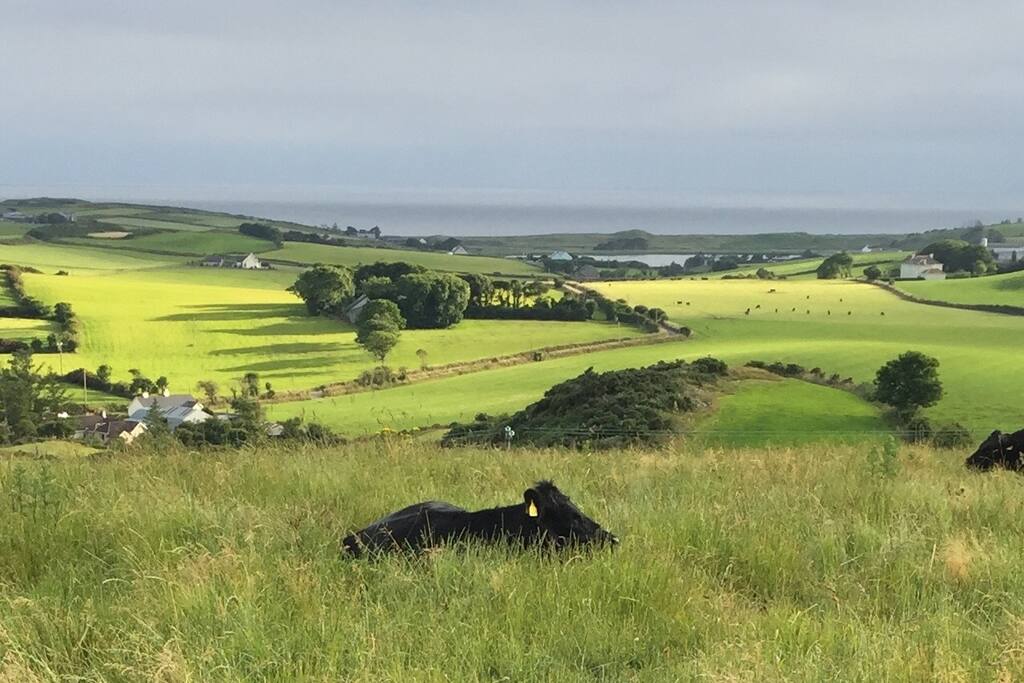 Surroundings