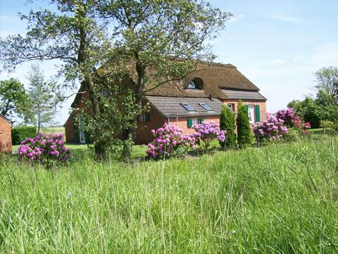 Small house on the Great Sea, idyll.Allein/Wasserl.