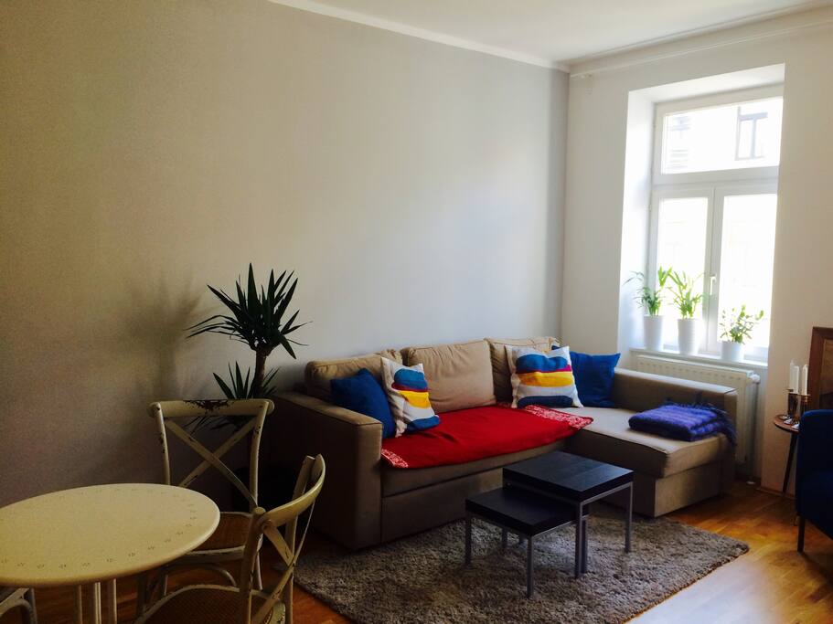 Living room with bed-couch