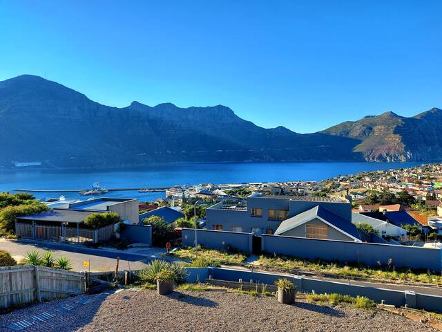 Moloko gallery image 2