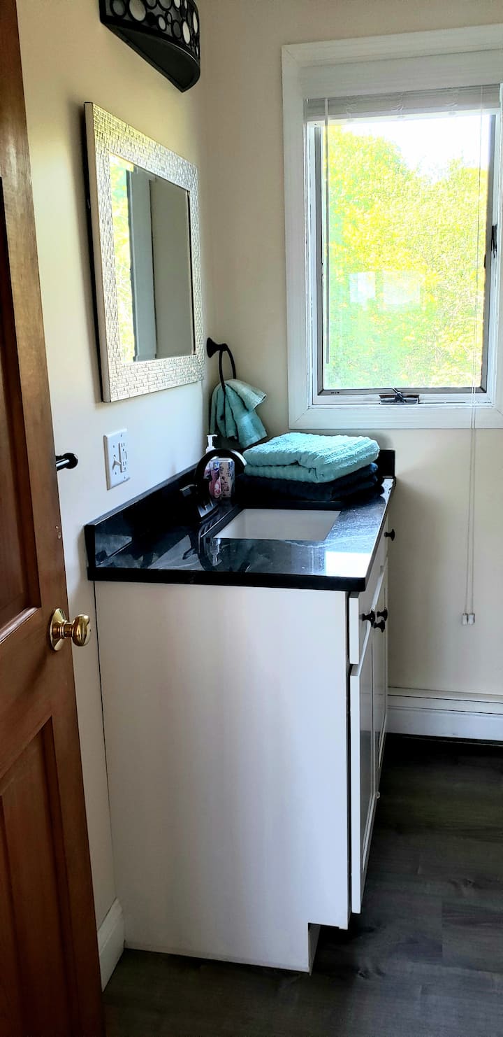 Master bathroom (stand up shower)