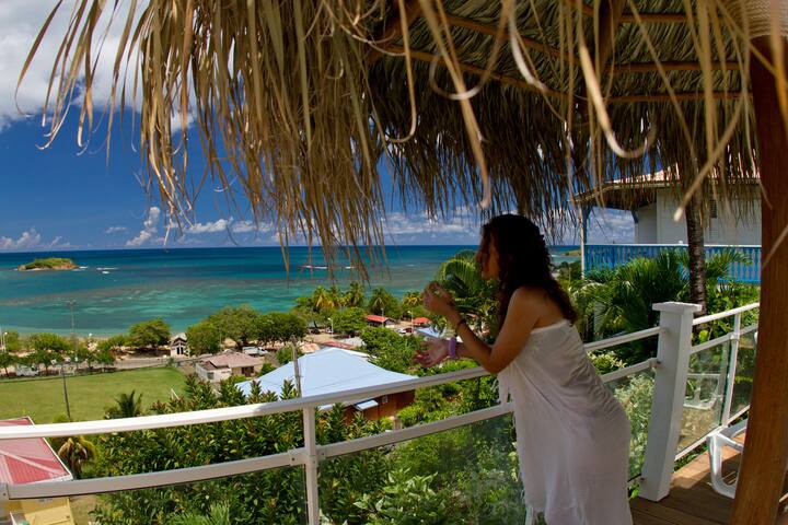 Get Maisons etonnantes de plage Free