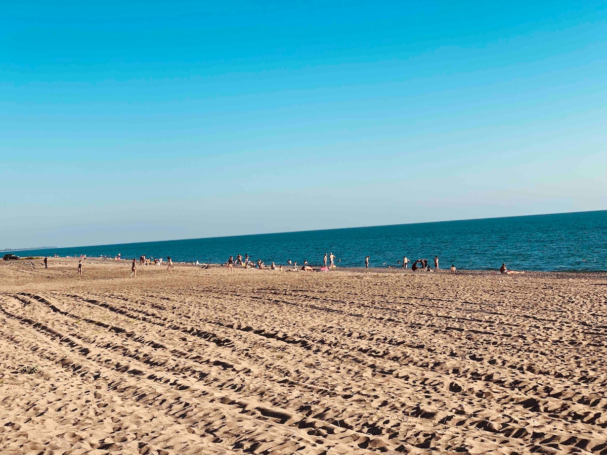 A wide sandy beach stretches towards a calm sea, with scattered visitors enjoying the sun. The horizon meets the water under a clear blue sky, creating a serene atmosphere. The soft texture of the sand is visible, inviting relaxation and leisure.