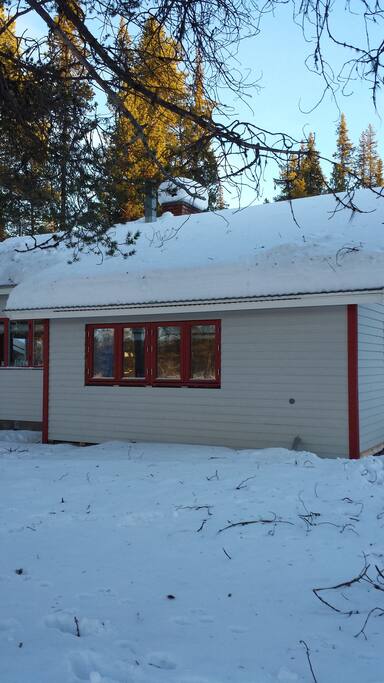 The back of the cottage