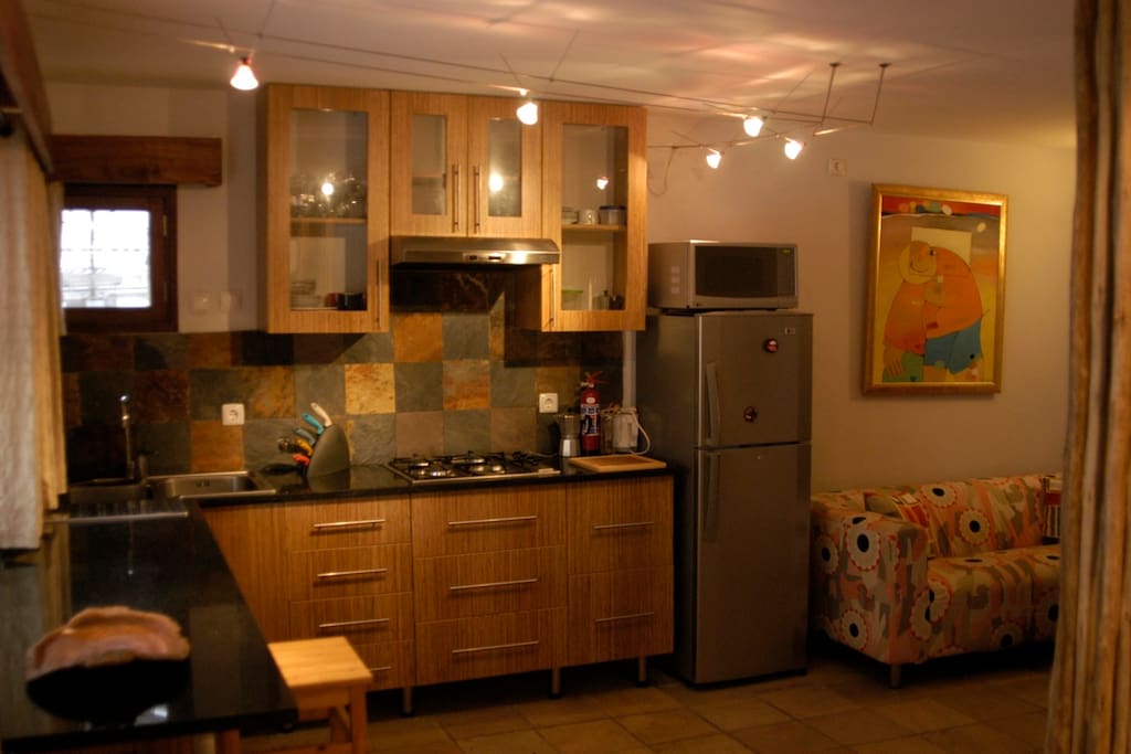 The Studio Apartment's kitchenette and living space.
