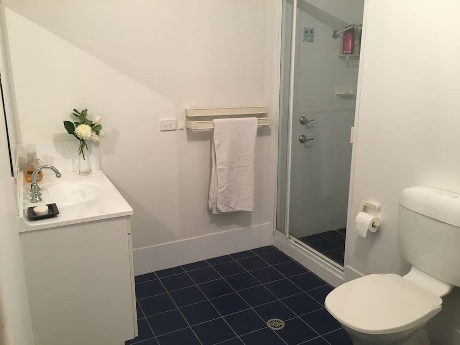 Guest bathroom