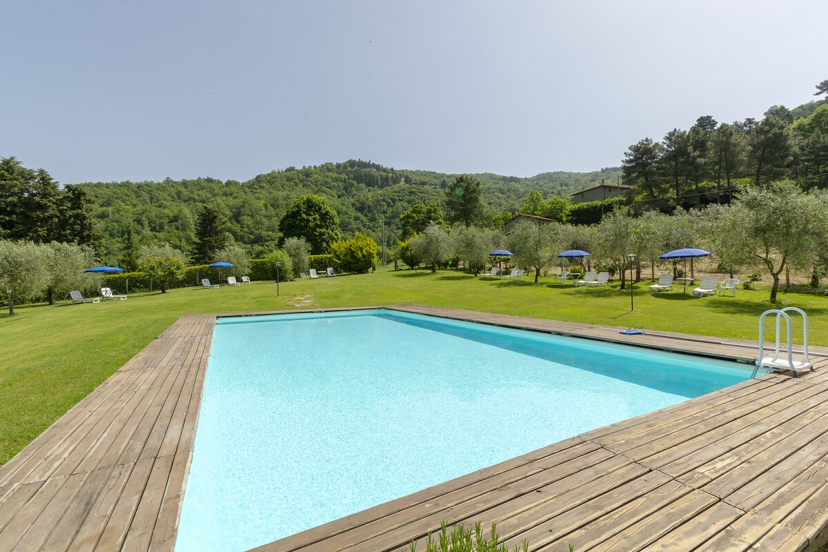 A large swimming pool is framed by a wooden deck, set amidst well-maintained grounds featuring olive trees and sun loungers. The surrounding landscape includes lush green hills under a clear blue sky, providing a serene environment for relaxation.