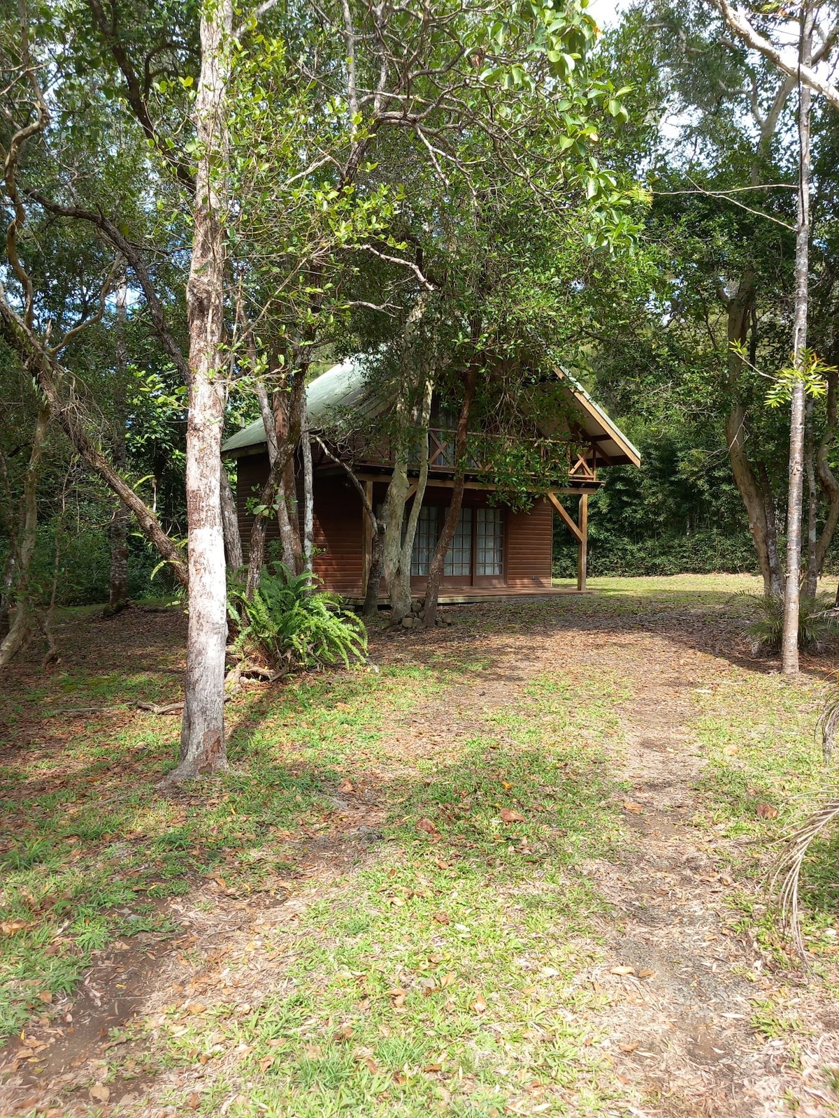 A wooden chalet is nestled among lush greenery, surrounded by tall trees. A winding pathway leads to the entrance, enhancing the sense of seclusion. The structure features a sloped roof and large windows, allowing natural light to illuminate the space.