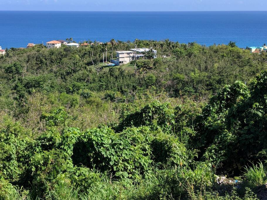 Looking down on Villa Sea Wolf