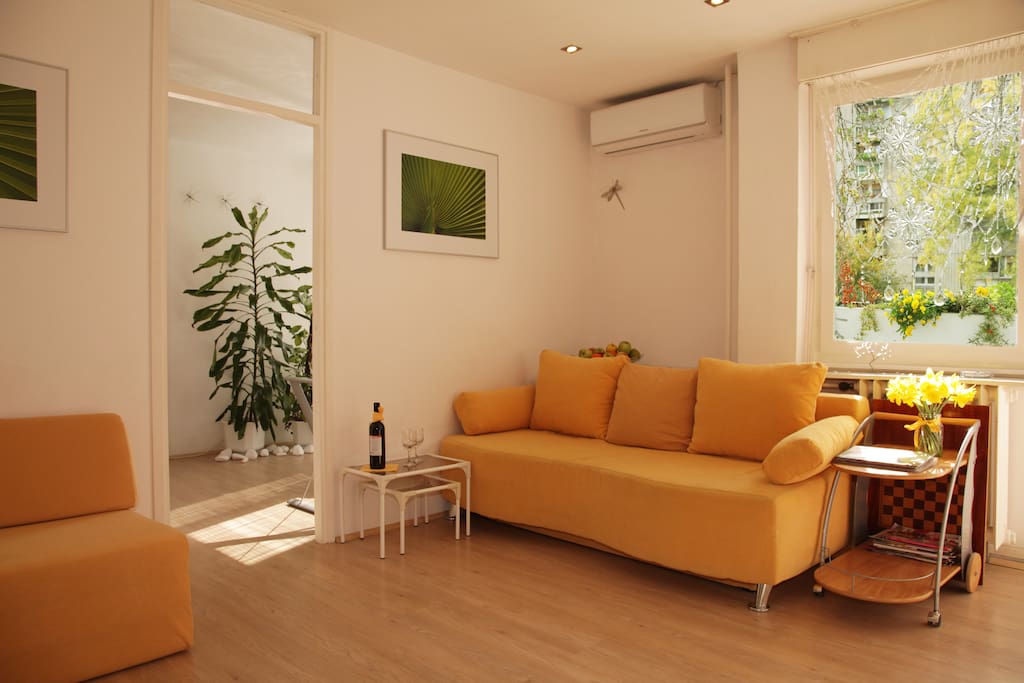 Fold-able couch for extra guest or you guys when too lazy to move to bedroom
