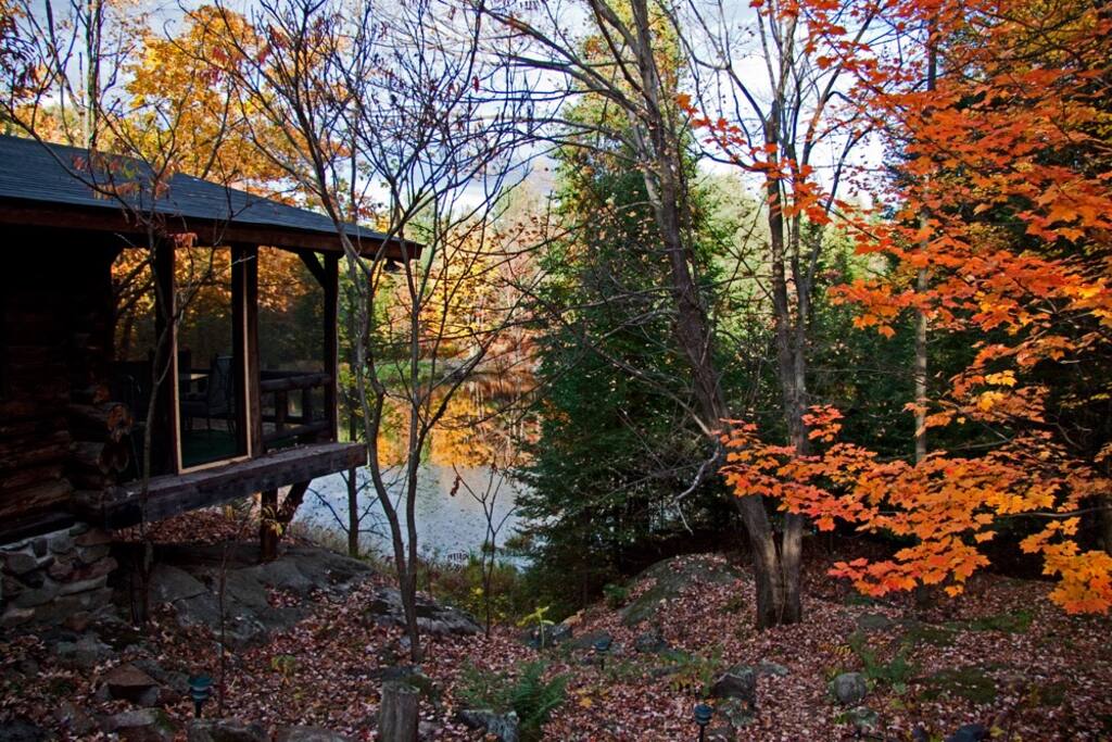 Overlooking Pond