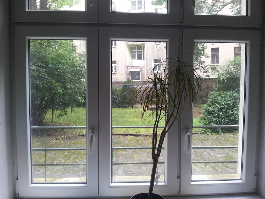 View from the window