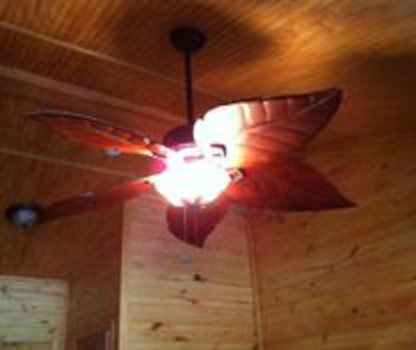 High ceilings in each cabin with a computer desk and refrigerator.