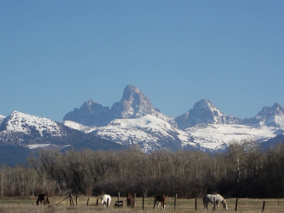 The Grand Tetons