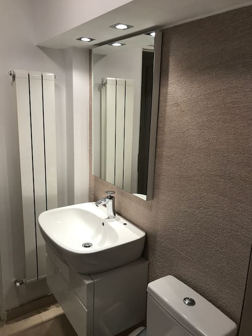 Clean and modern private wash room with shower. At opposite end of apartment from host so very private.