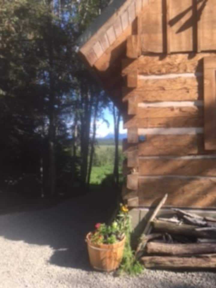 Moose Meadow Cabins for Rent in Homer, Alaska, United States Airbnb