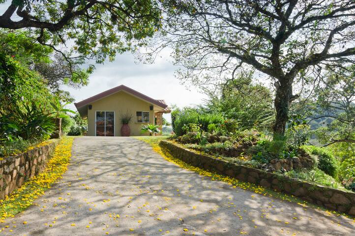 Cute French Cottage With Garden