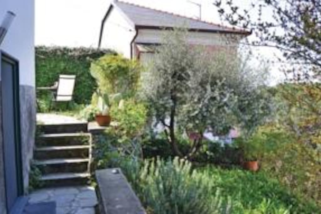 il nostro giardino su due livelli