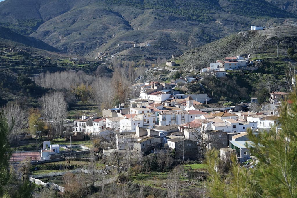 Alcóntar