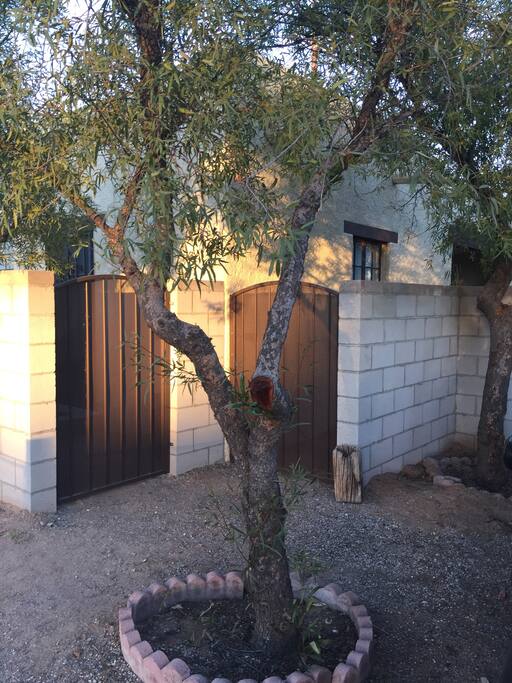 Outside entrance. Walled in property.