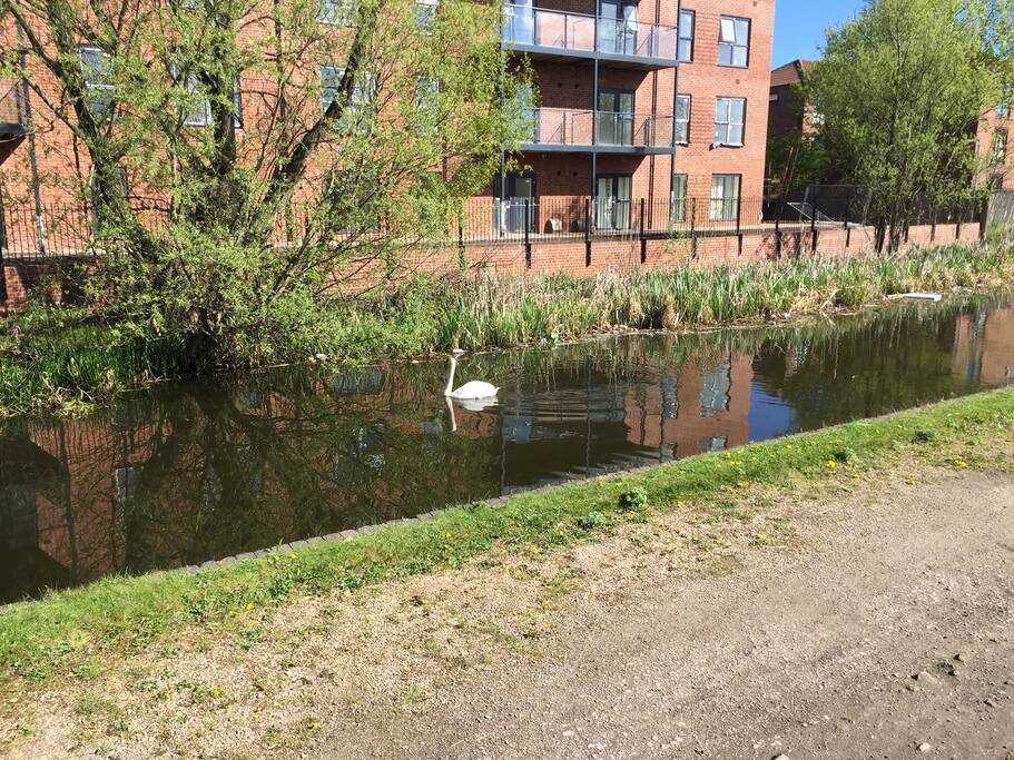Overlooking the Canal