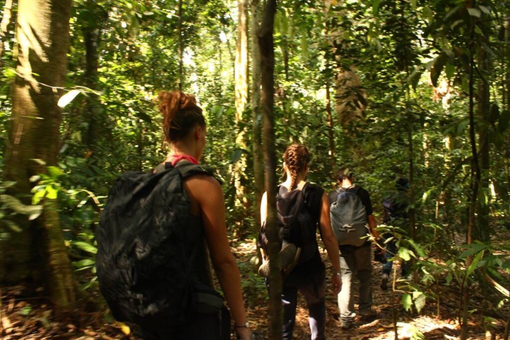 trekking