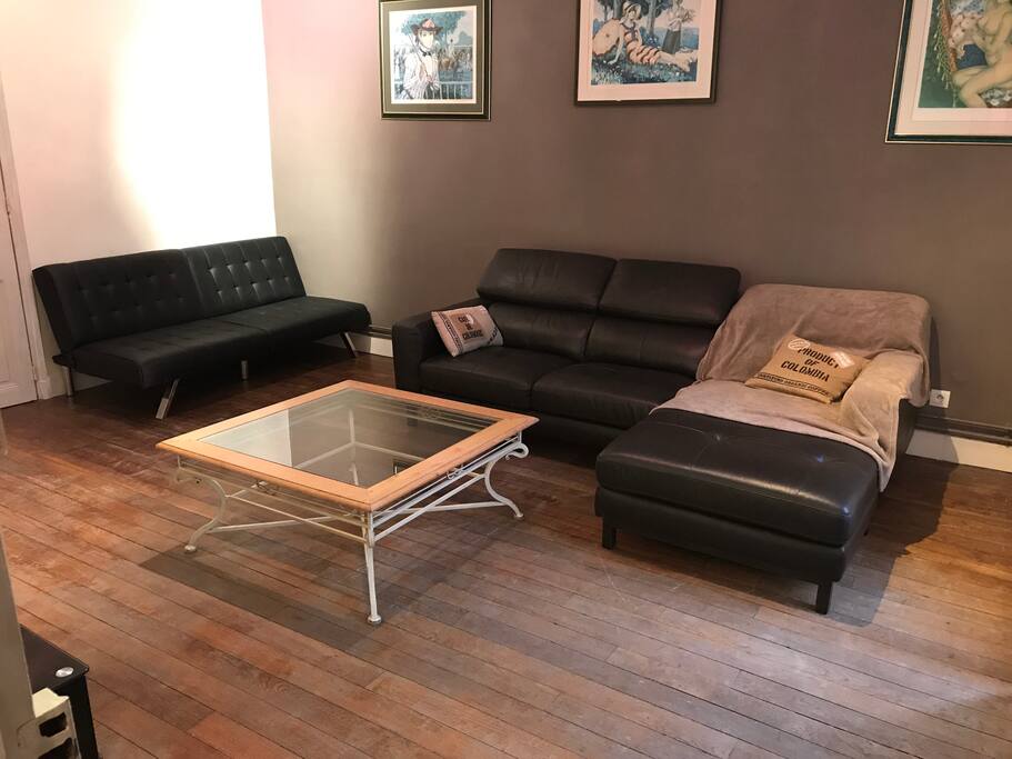 salon avec canapé / méridienne + convertible