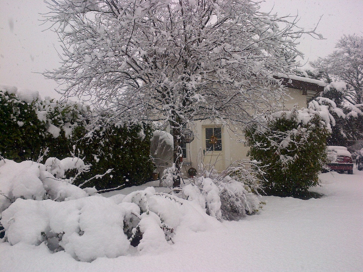A snowy landscape surrounds a cozy house, partially obscured by a thick blanket of white snow. A large tree and bushes, heavy with snow, create a serene winter scene. Soft flakes fall gently, contributing to the tranquil ambiance of the wintry setting.