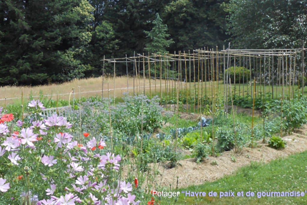 Le Potager zen, en permaculture... jardin partagé où cueillir vos légumes d'été.