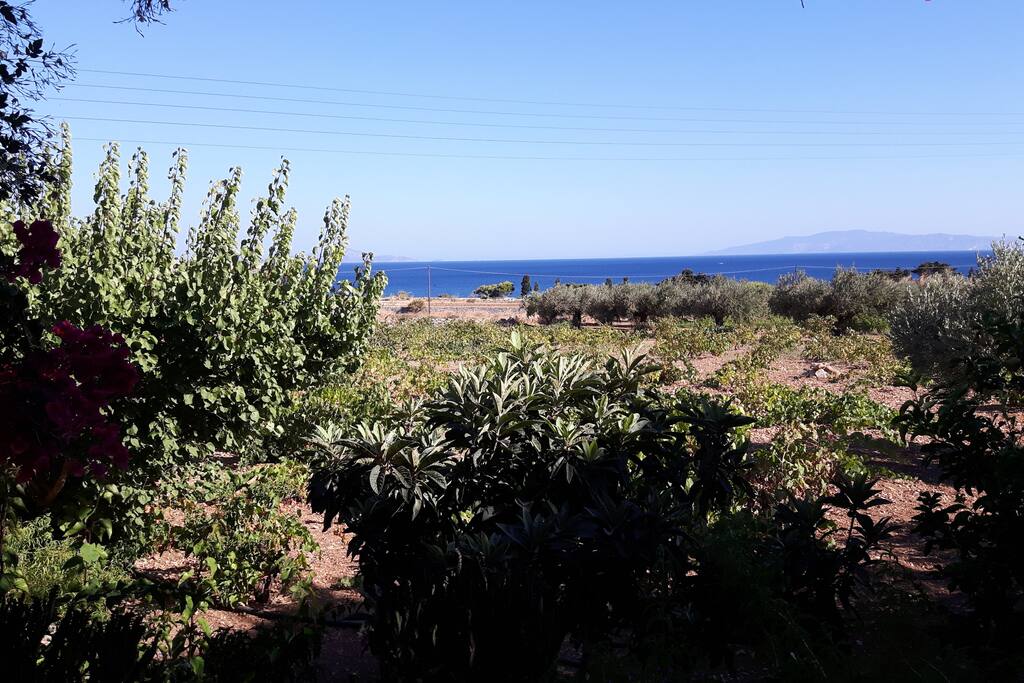 part of the view to the garden and to the sea