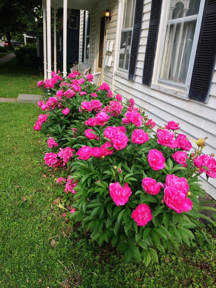 Cooperstown Vacation Rentals Cottage and House Rentals Airbnb