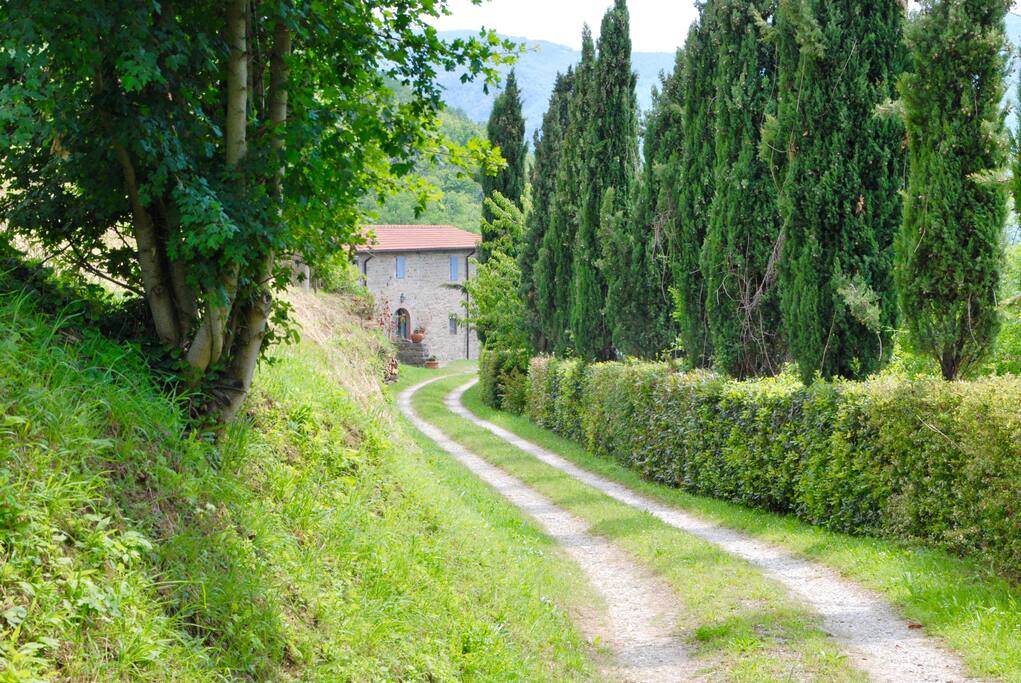 pathway to the house