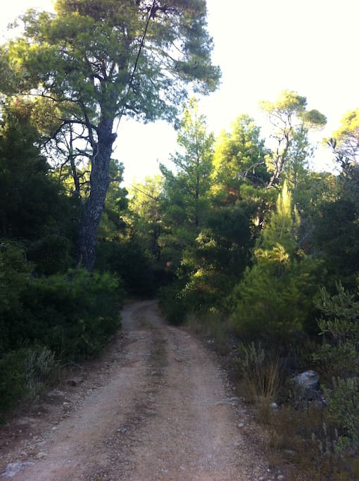 Access road