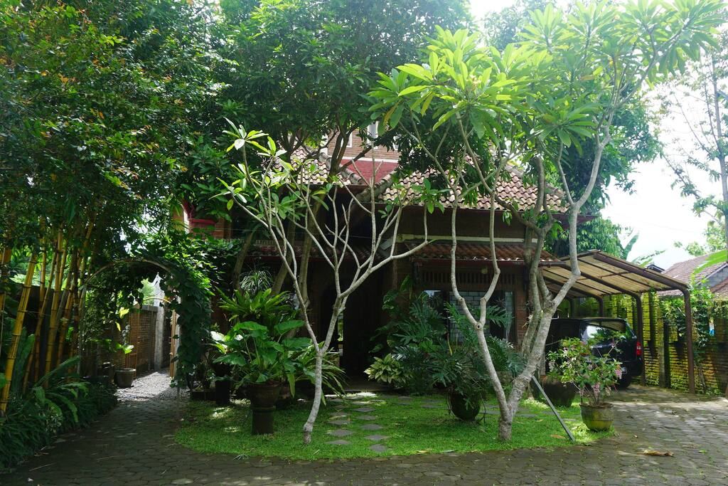 The house from the frontyard
