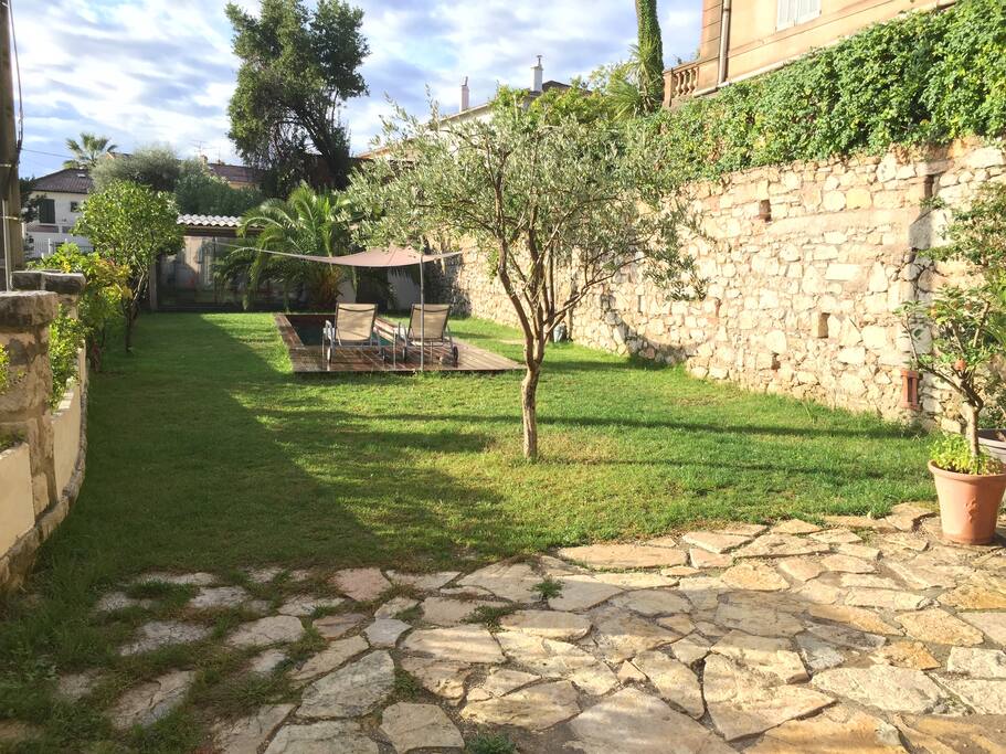 Garden with pool and olive, palm, citrus trees