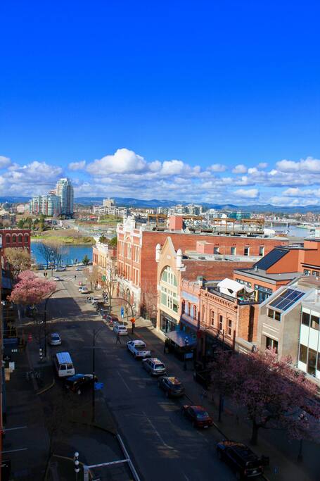 The best location in the city