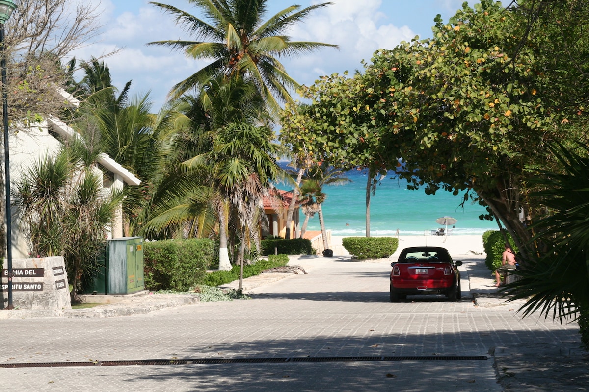 A scenic view down a tree-lined street leading to a sandy beach. Palm trees frame the path, and a car is parked nearby. The vibrant blue ocean can be seen in the distance, along with a few people enjoying the beach.